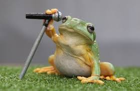 frog on mic.jpg