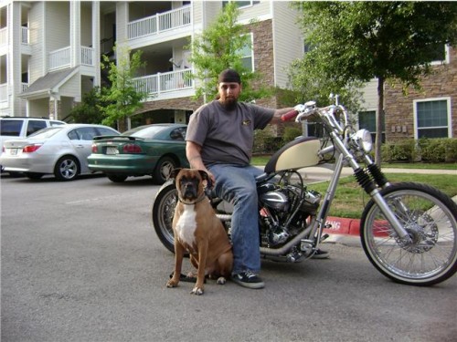 I built the bike and my dog and I posed with it