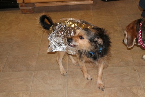 he didnt like the foil